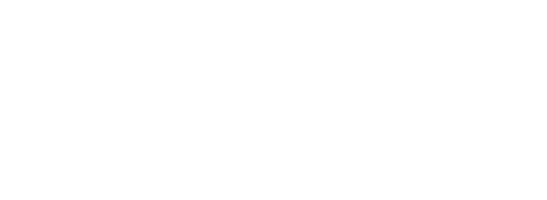 The Citadel logo